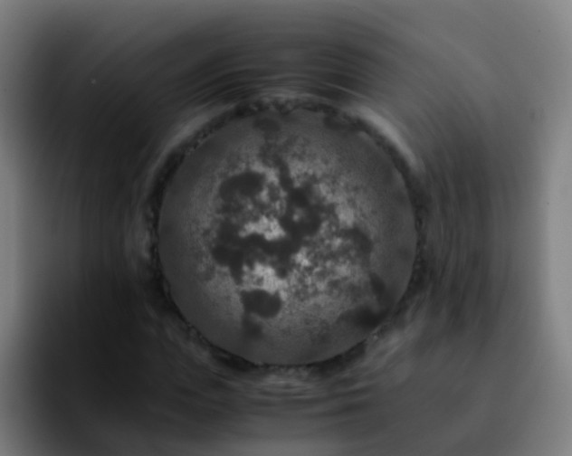 X0000092250823200709211100