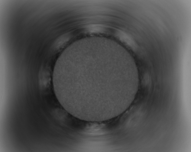X0000092250824200709211100