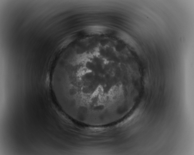 X0000092250825200709211100
