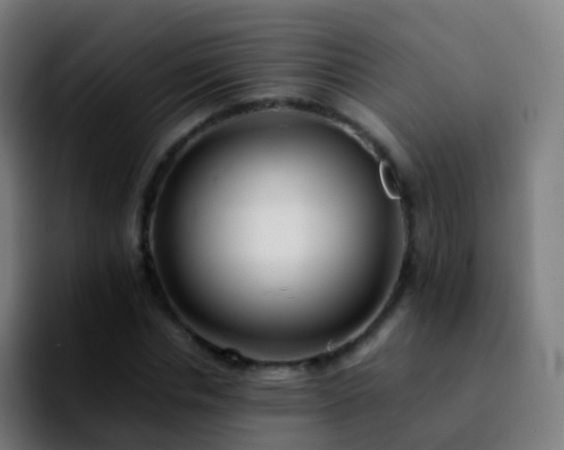 X0000092250826200709211100