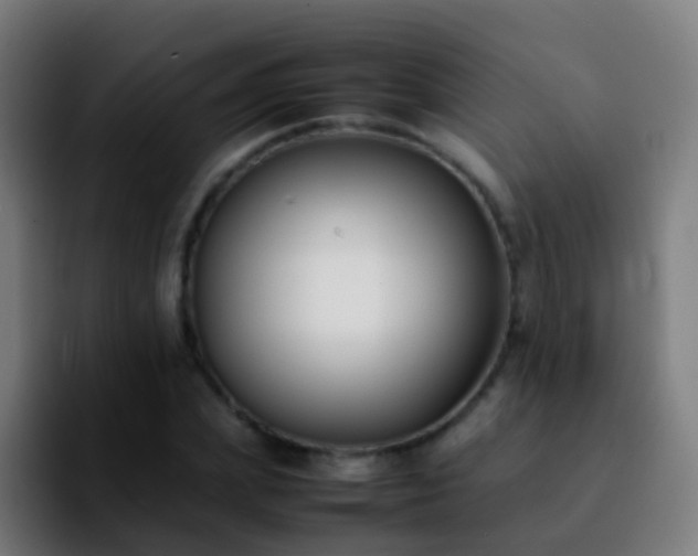 X0000092250831200709211100