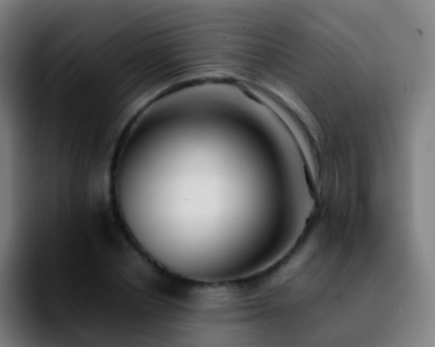 X0000092250834200709211100