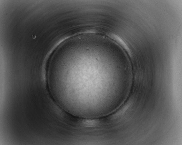 X0000092250835200709211100