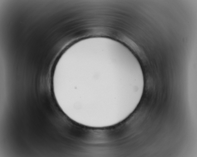 X0000092250836200709211100