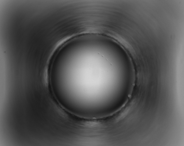 X0000092250838200709211100