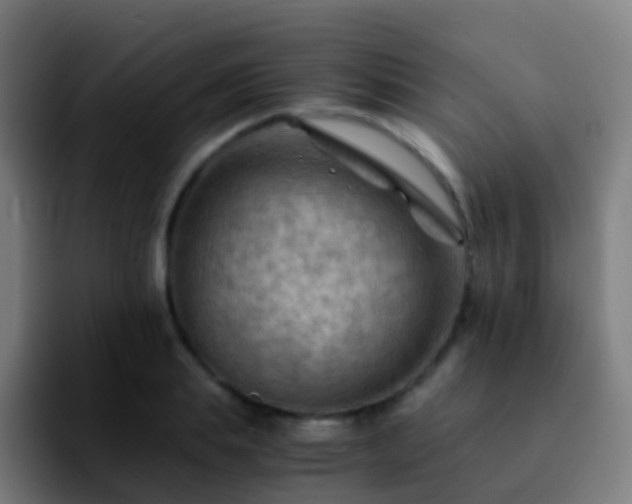 X0000092250839200709211100