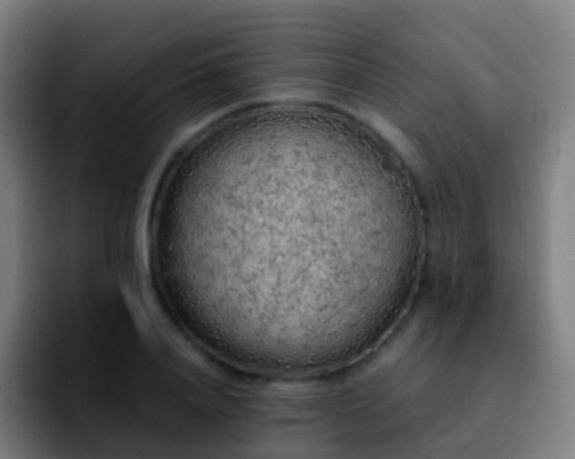 X0000092250840200709211100