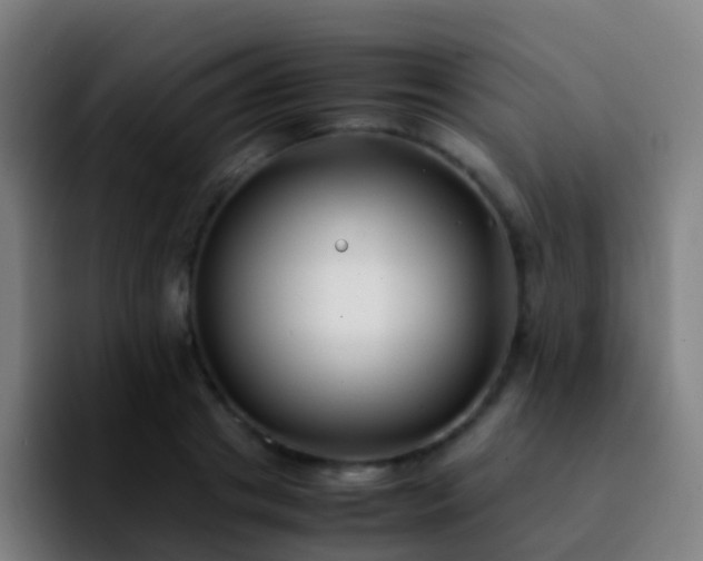 X0000092250841200709211100