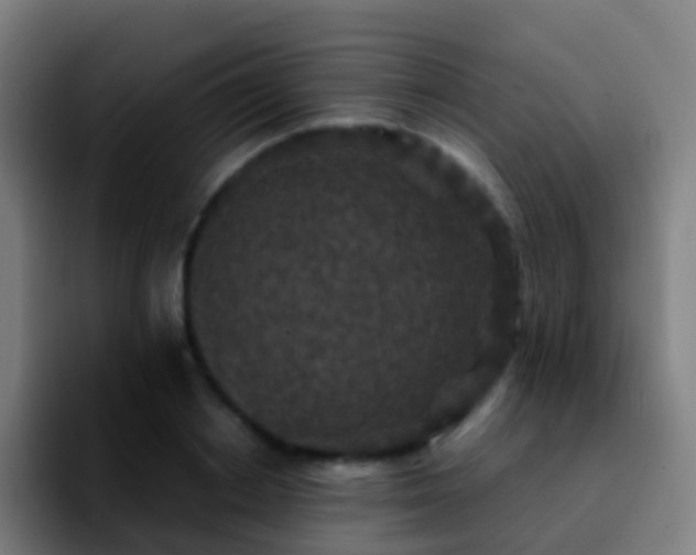 X0000092250842200709211100