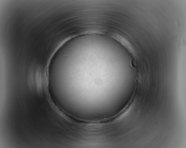 X0000092250844200709211100