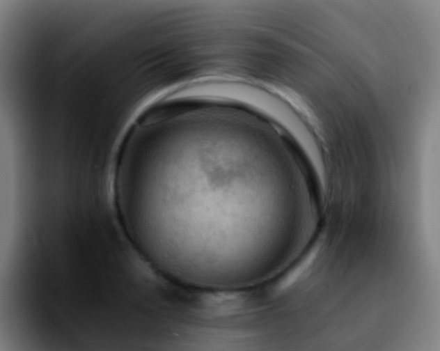X0000092250846200709211100