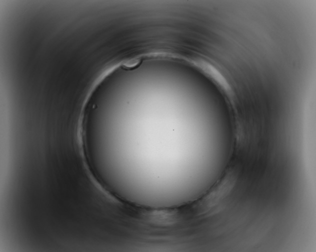 X0000092250847200709211100