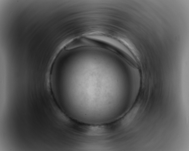 X0000092250850200709211100