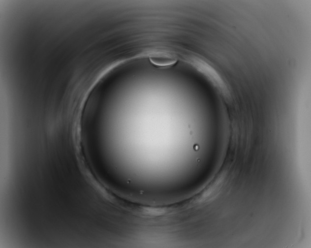 X0000092250852200709211100