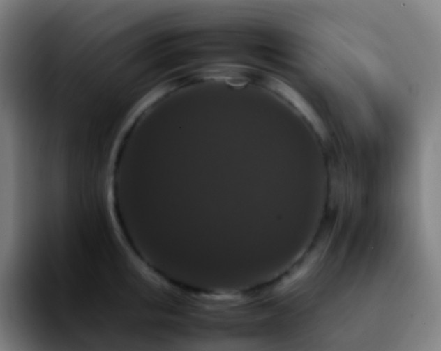 X0000092250853200709211100