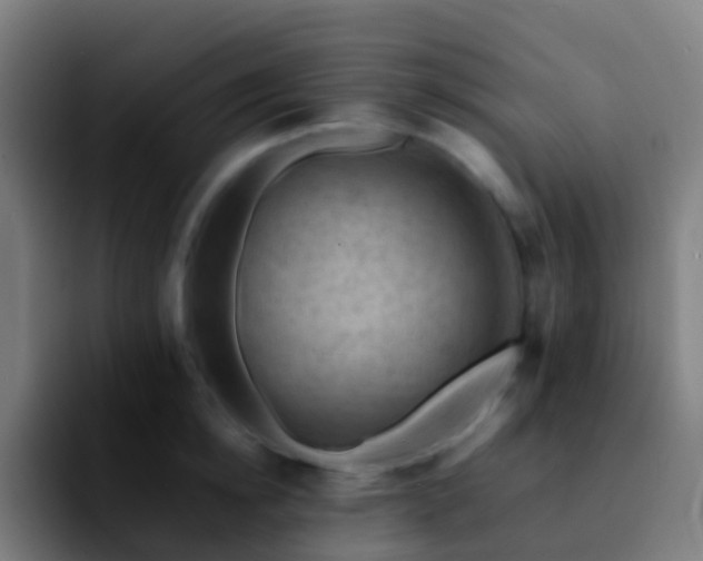 X0000092250854200709211100