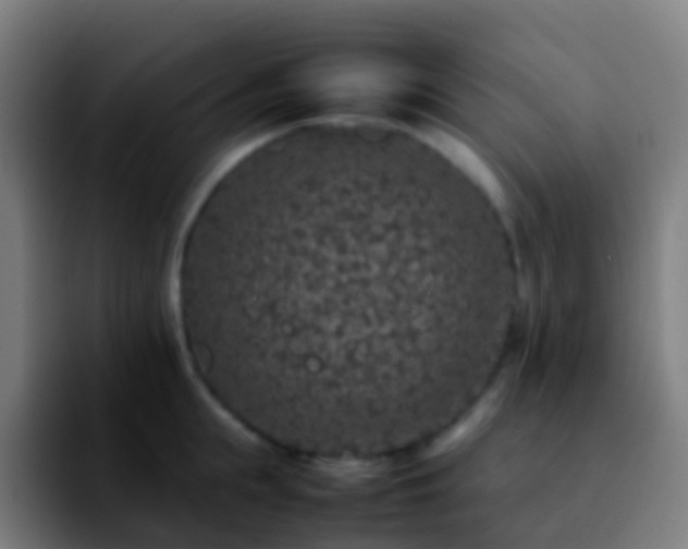 X0000092250855200709211100