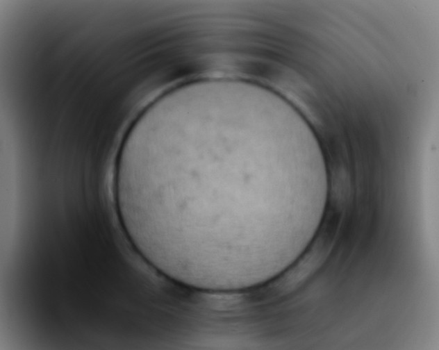 X0000092250856200709211100