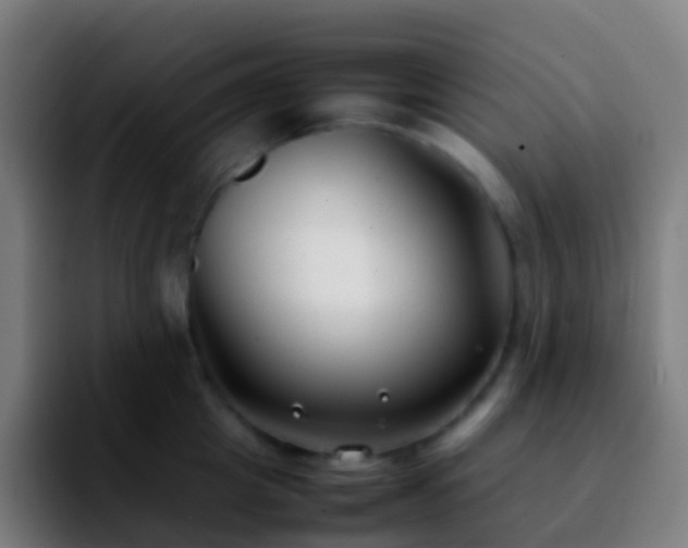 X0000092250857200709211100