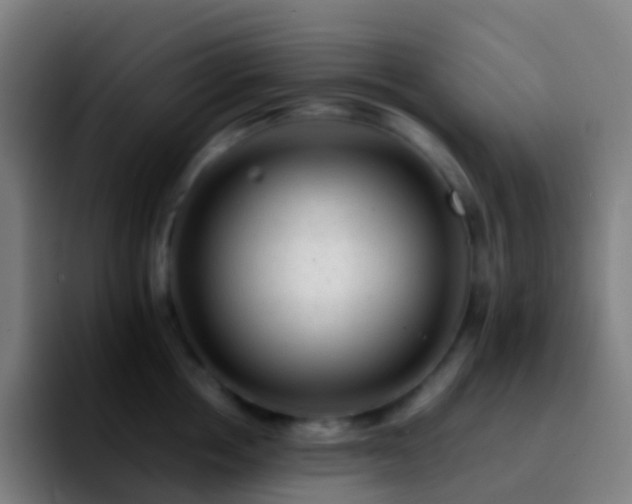 X0000092250858200709211100