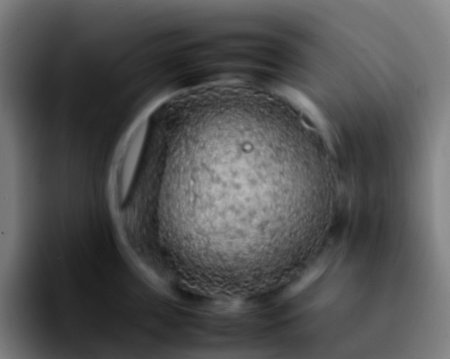 X0000092250859200709211100
