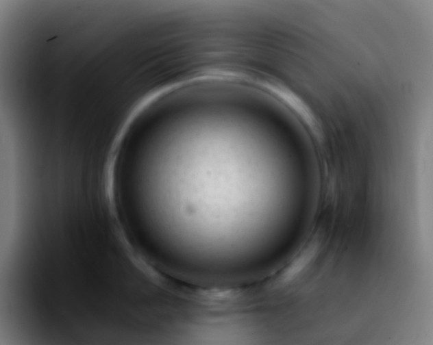 X0000092250862200709211100