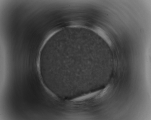 X0000092250863200709211100