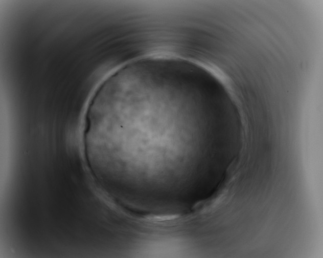 X0000092250864200709211100