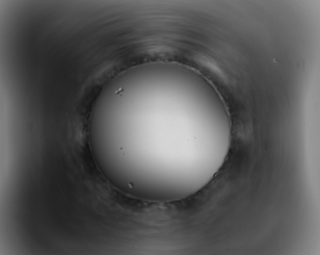 X0000092250869200709211059
