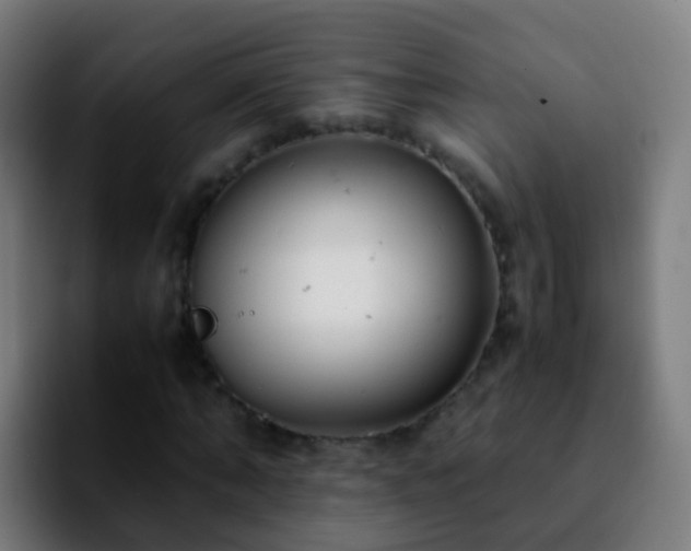 X0000092250870200709211059
