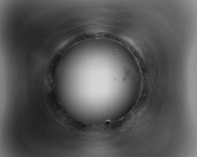 X0000092250871200709211059