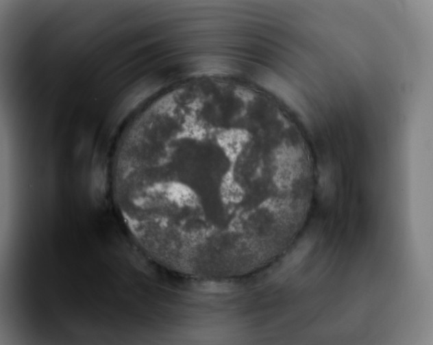 X0000092250874200709211059