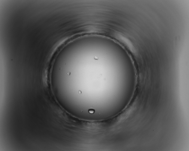 X0000092250875200709211059