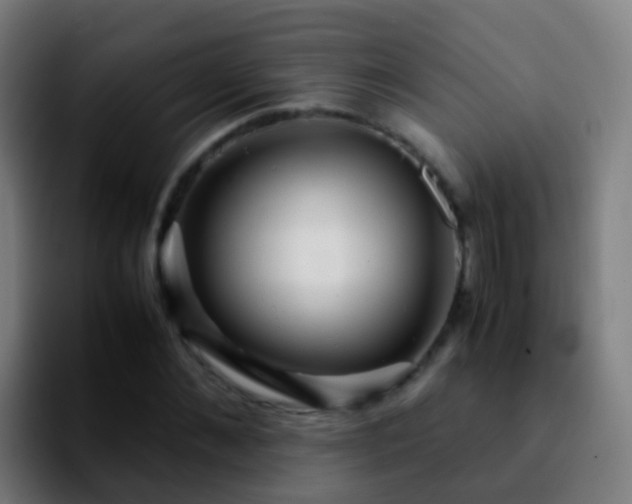 X0000092250876200709211059