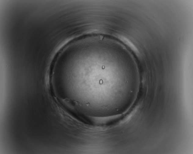 X0000092250877200709211059