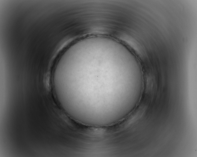 X0000092250878200709211059