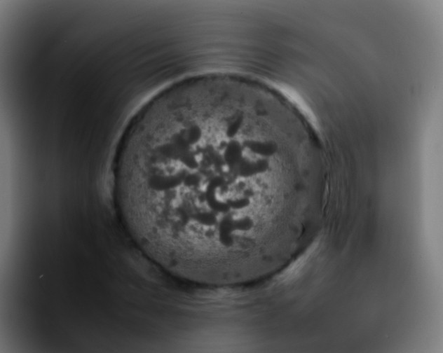 X0000092250879200709211059