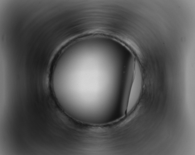 X0000092250880200709211059