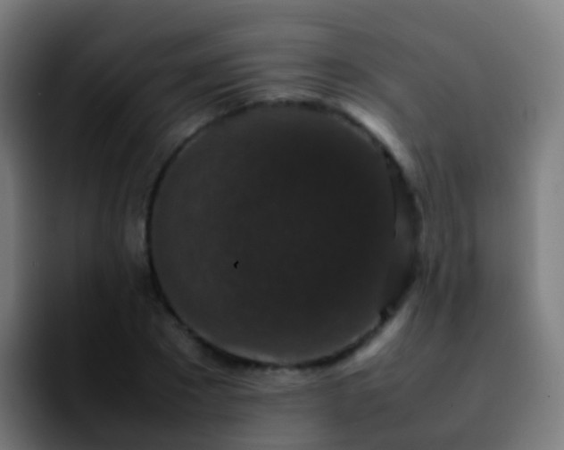 X0000092250881200709211059