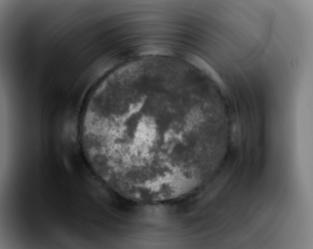 X0000092250882200709211059