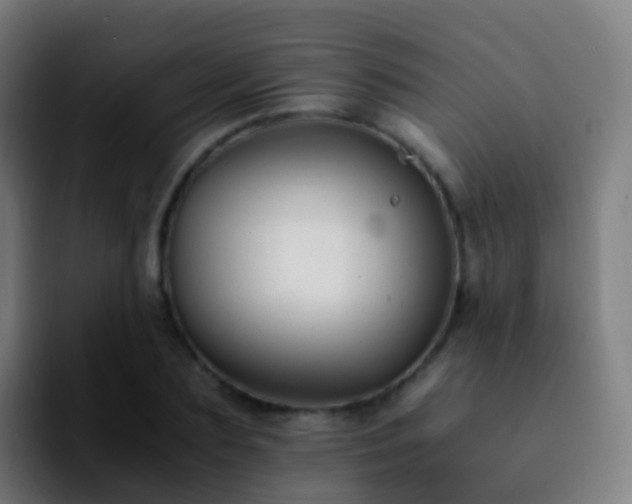 X0000092250883200709211059