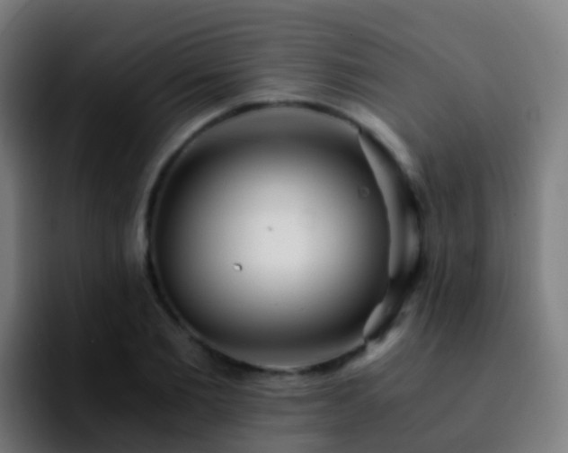 X0000092250885200709211059