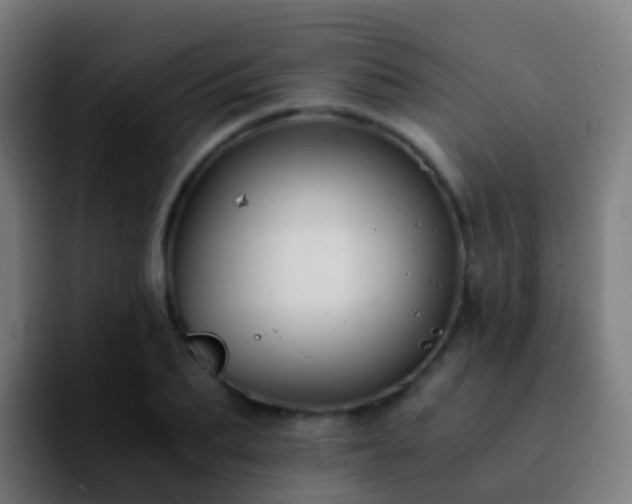 X0000092250887200709211059