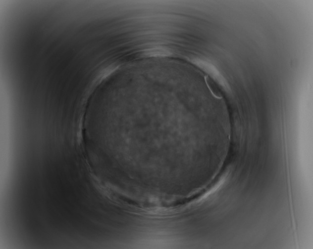 X0000092250889200709211059