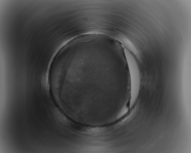 X0000092250892200709211059