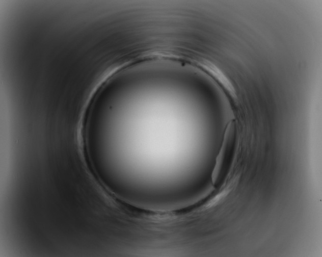 X0000092250893200709211059