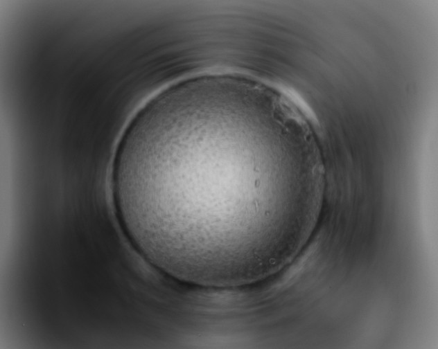 X0000092250895200709211059
