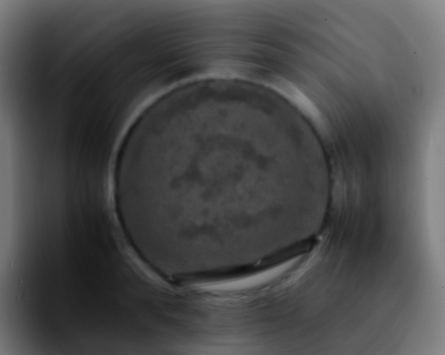 X0000092250896200709211059