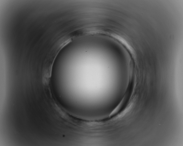X0000092250897200709211059