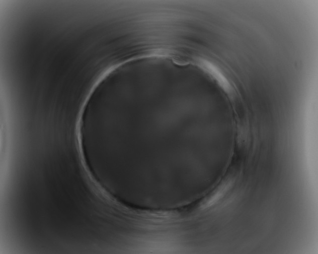 X0000092250899200709211059
